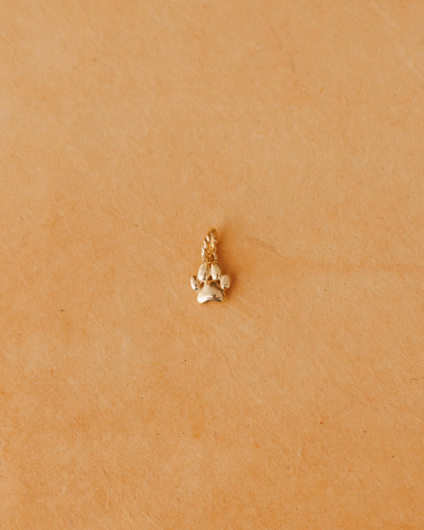 Puppy Paw Charm - Image 4